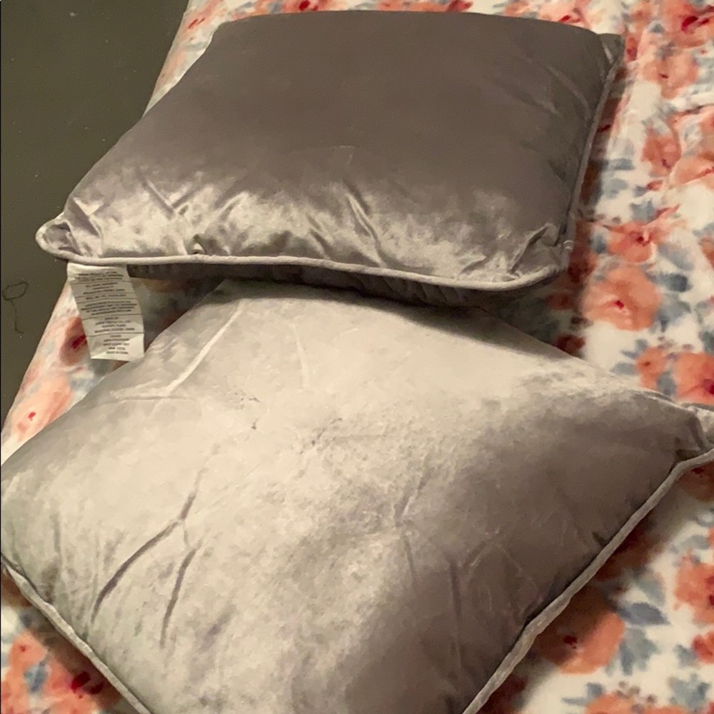 set of 2 throw pillows
